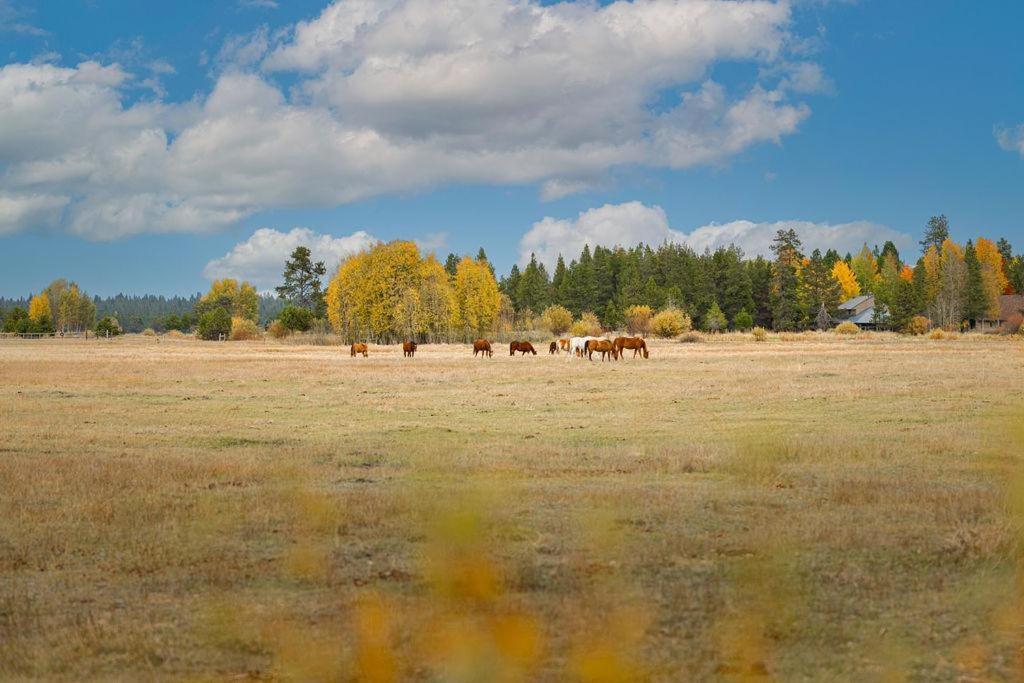 Coyote - Unit 9 Villa Sunriver Exterior photo